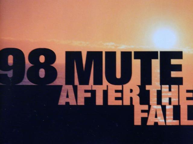 Album cover art for After The Fall