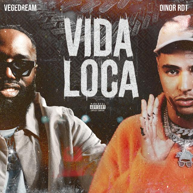 Album cover art for VIDA LOCA