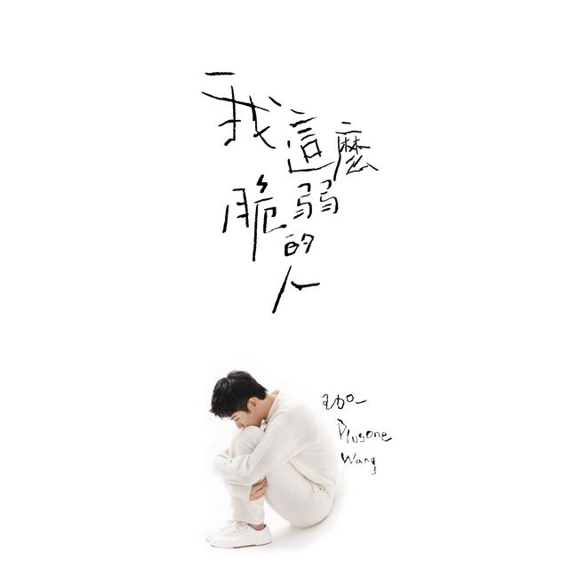 Album cover art for 我這麼脆弱的人