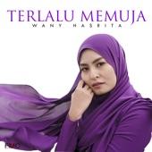 Album cover art for Terlalu Memuja