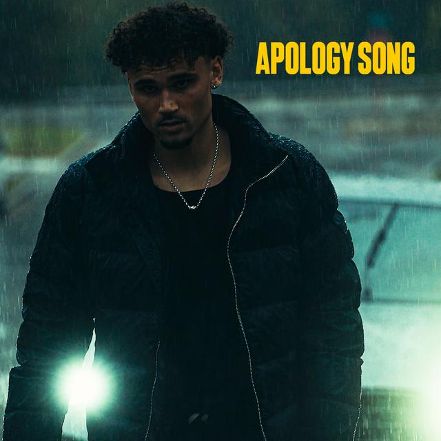 Album cover art for Apology Song