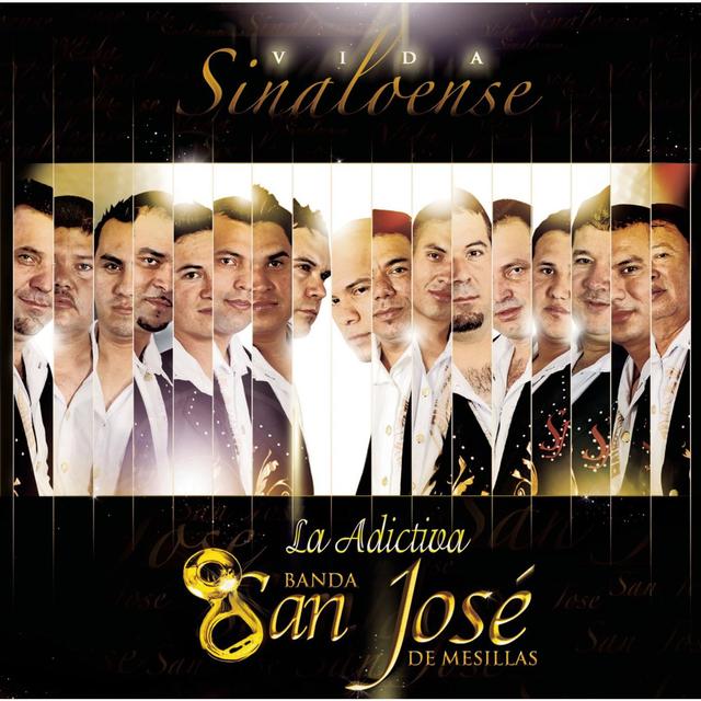 Album cover art for Vida Sinaloense