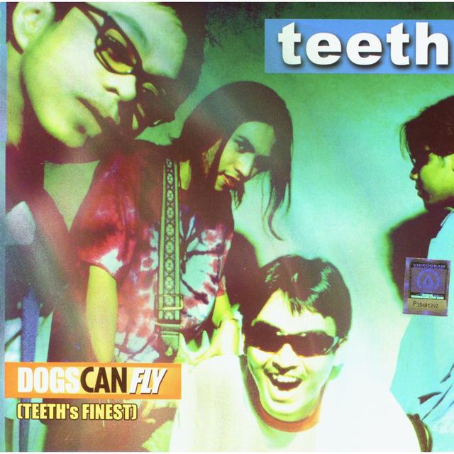 Album cover art for Dogs Can Fly - Best of Teeth