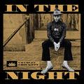 Album cover art for In the Night