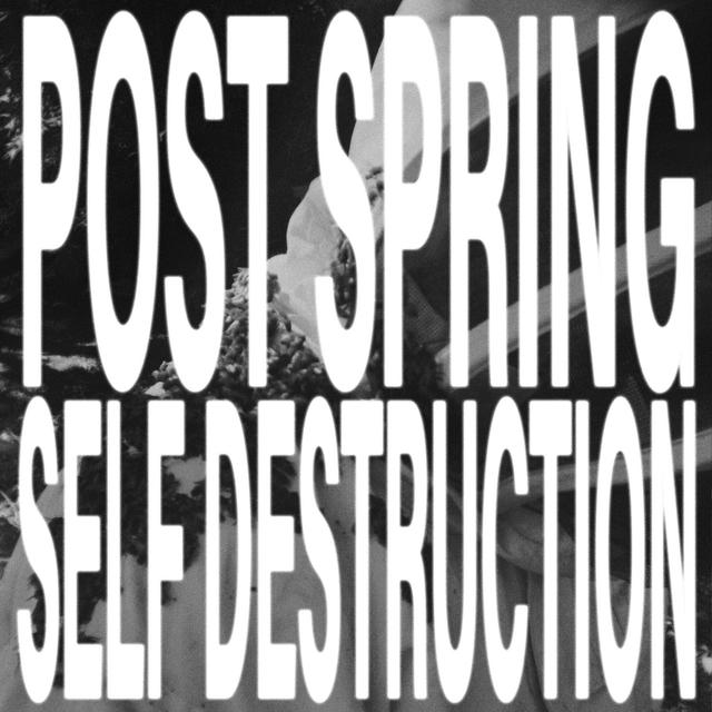 Album cover art for post spring self destruction