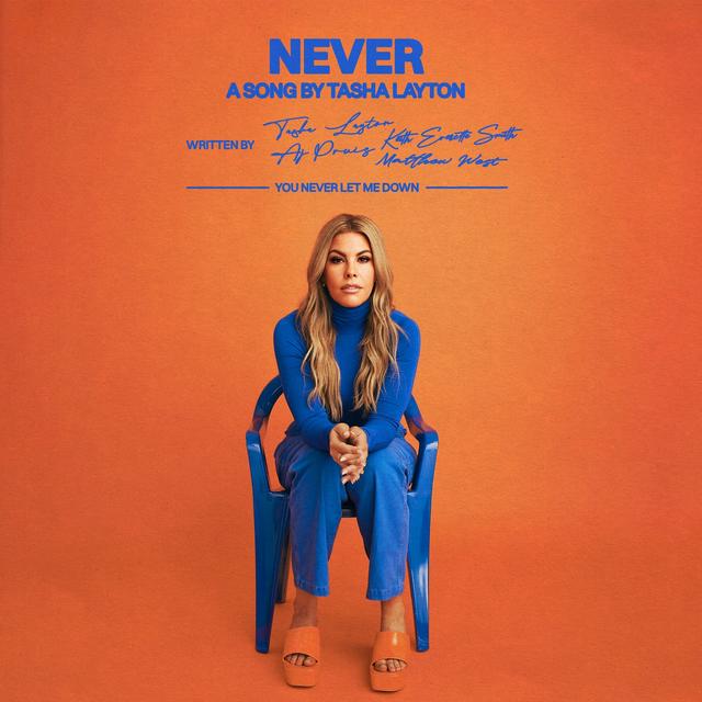 Album cover art for Never