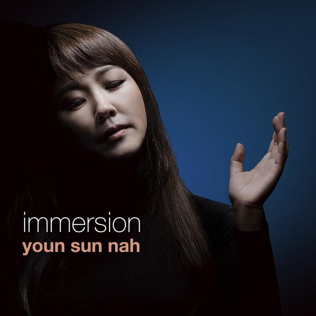 Album cover art for Immersion