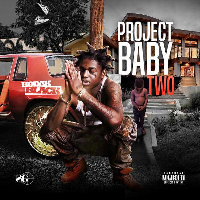 Album cover art for Project Baby 2