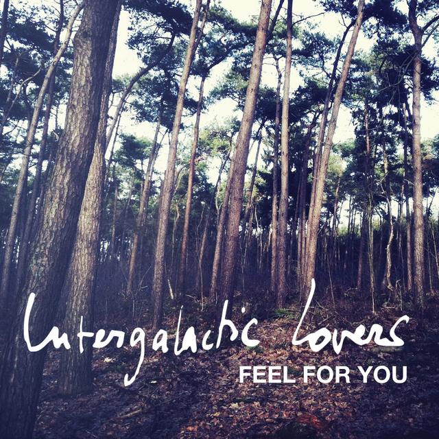 Album cover art for Feel For You