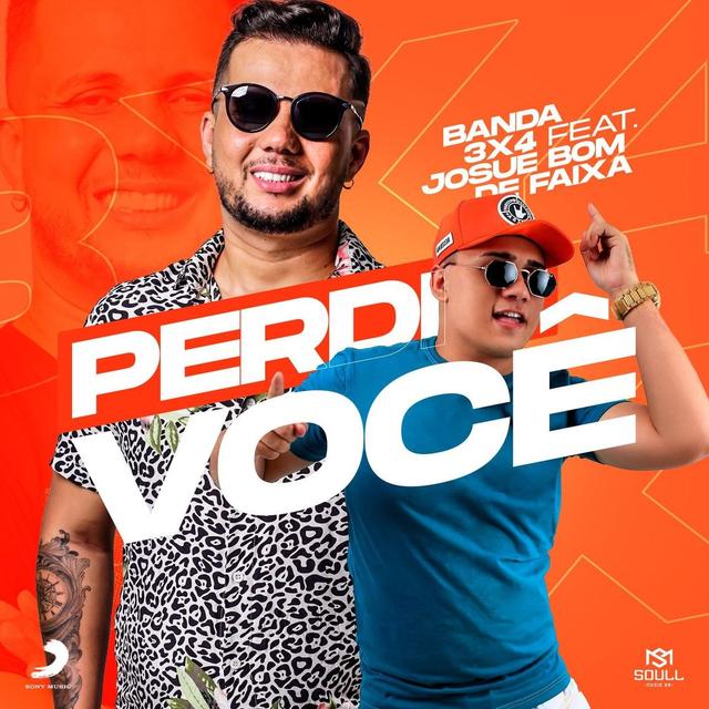 Album cover art for Perdi Você