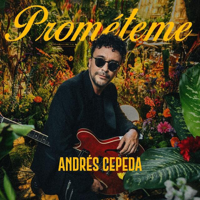 Album cover art for Prométeme