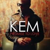 Album cover art for Promise To Love