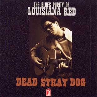 Album cover art for Dead Stray Dog