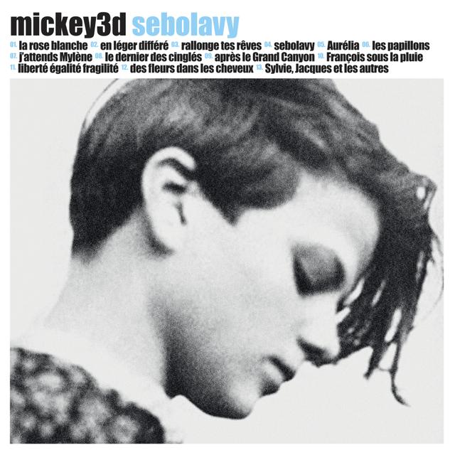 Album cover art for Sebolavy