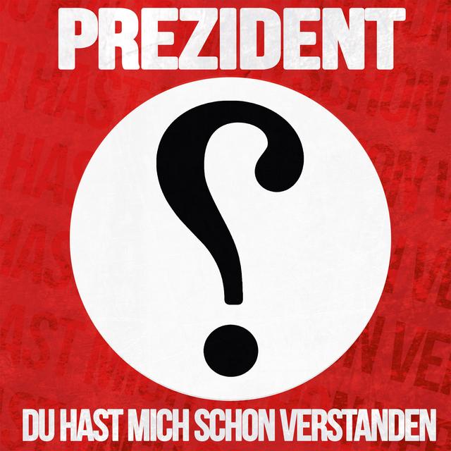 Album cover art for Du hast mich schon verstanden