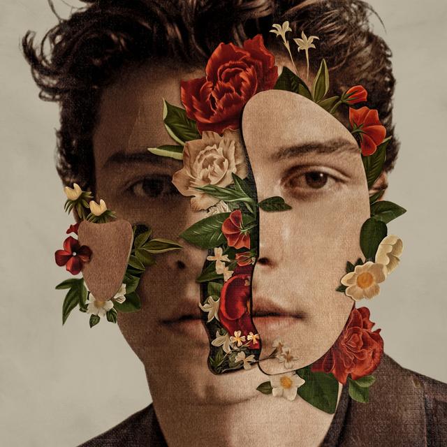 Album cover art for Shawn Mendes