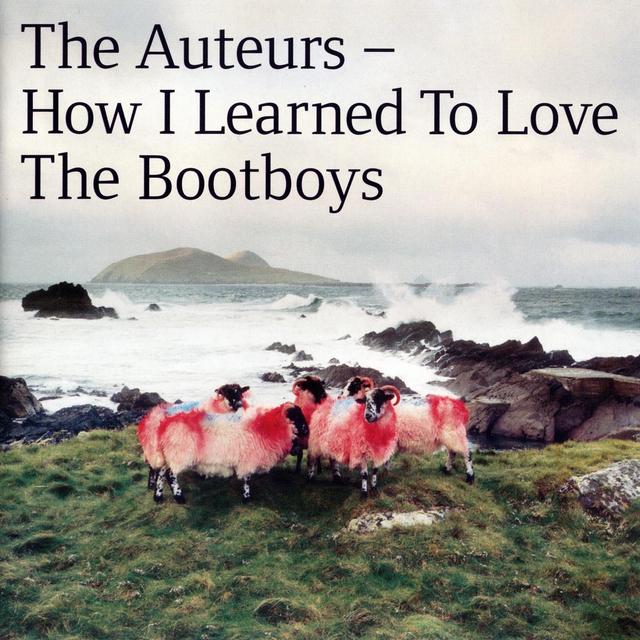 Album cover art for How I Learned To Love The Bootboys