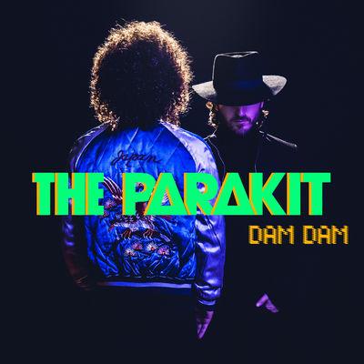 Album cover art for Dam Dam