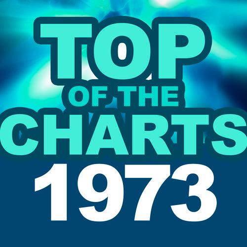 Album cover art for Top of the Charts 1973