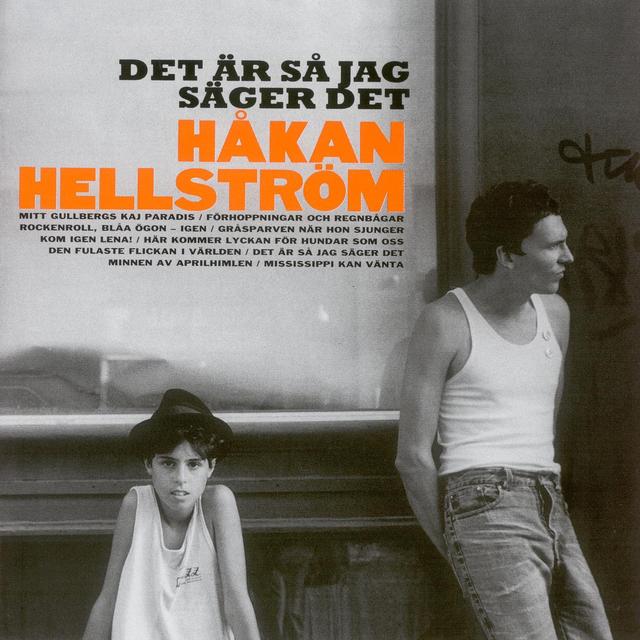 Album cover art for det är så jag säger det