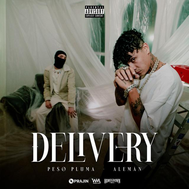 Album cover art for Delivery