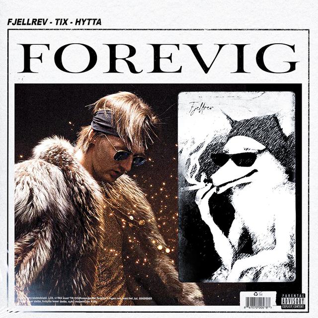 Album cover art for FOREVIG