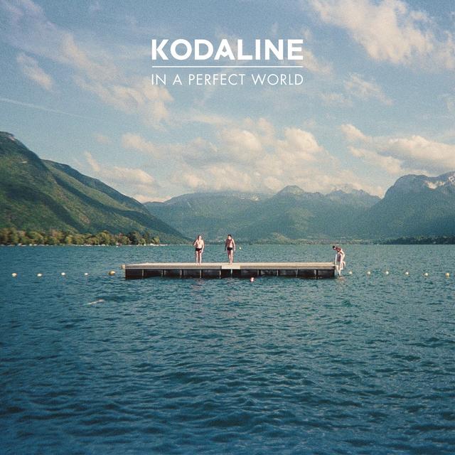 Album cover art for In A Perfect World