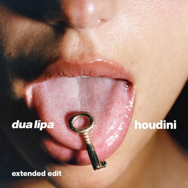 Album cover art for Houdini (Extended Edit)