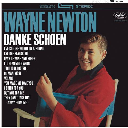 Album cover art for Danke Schoen