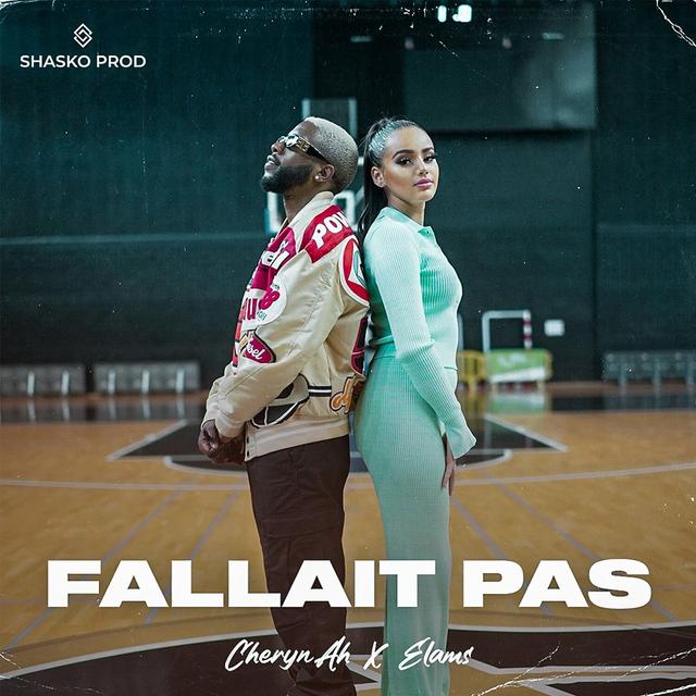 Album cover art for Fallait pas