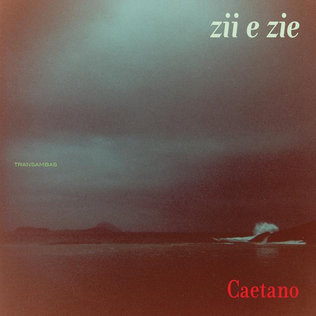 Album cover art for Zii e Zie