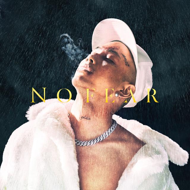 Album cover art for NO FEAR