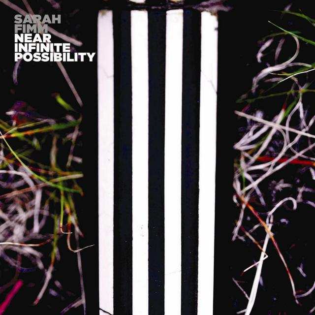 Album cover art for Near Infinite Possibility