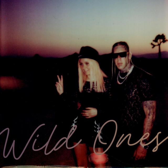 Album cover art for Wild Ones