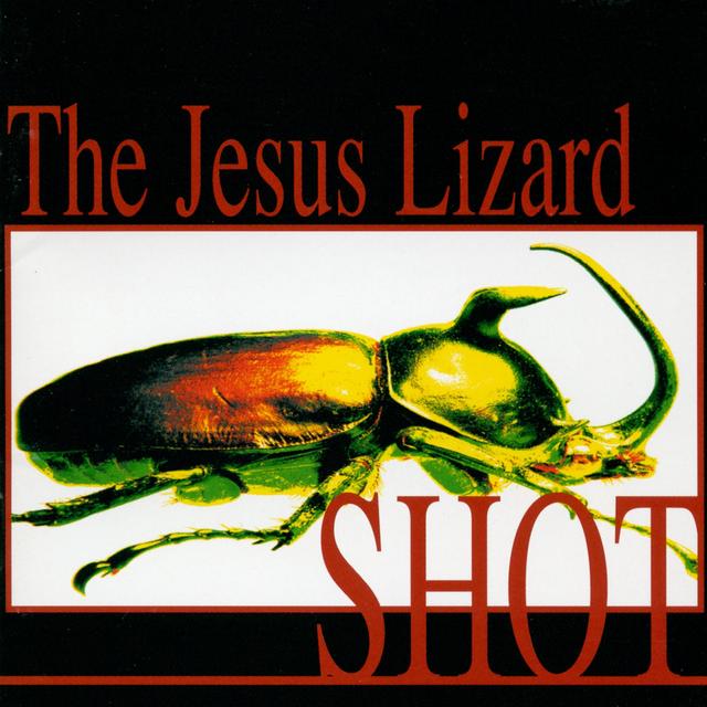 Album cover art for Shot