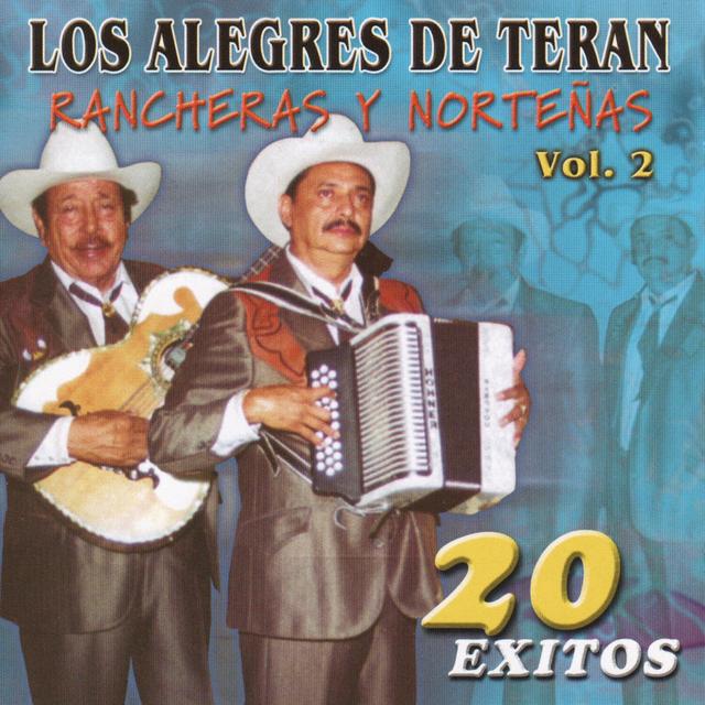 Album cover art for Rancheras Y Nortenas 20 Exitos Vol. 2