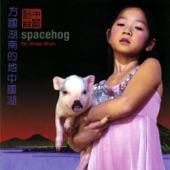 Album cover art for The Chinese Album