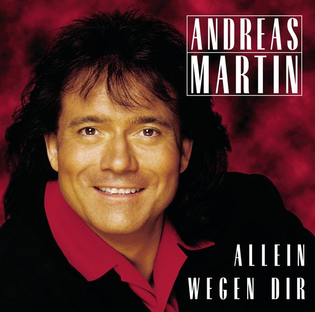 Album cover art for Allein Wegen Dir