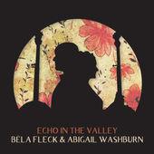 Album cover art for Echo in the Valley