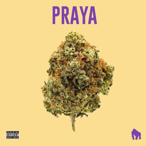 Album cover art for Praya