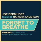 Album cover art for Forget To Breathe : Remixes