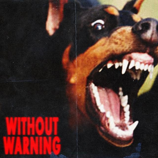 Album cover art for Without Warning