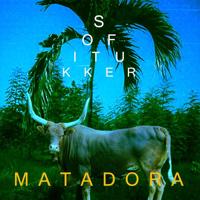 Album cover art for Matadora