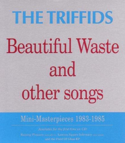 Album cover art for Beautiful Waste And Other Songs - Mini Masterpieces 1983 - 1985