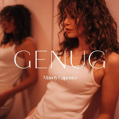 Album cover art for Genug