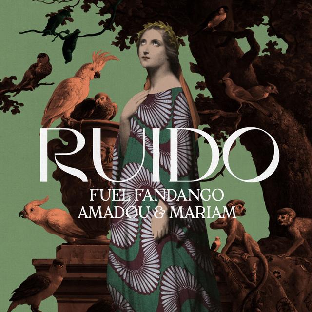 Album cover art for Ruido