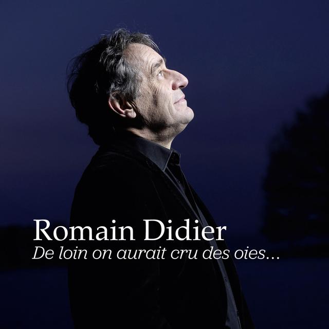 Album cover art for De Loin On Aurait Cru des Oies...