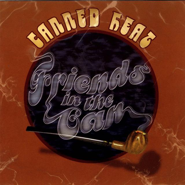 Album cover art for Friends in the Can