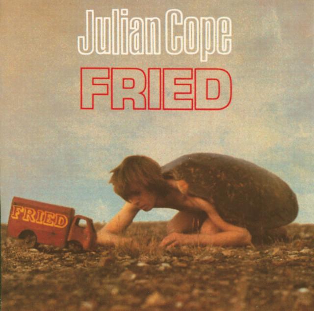 Album cover art for Fried