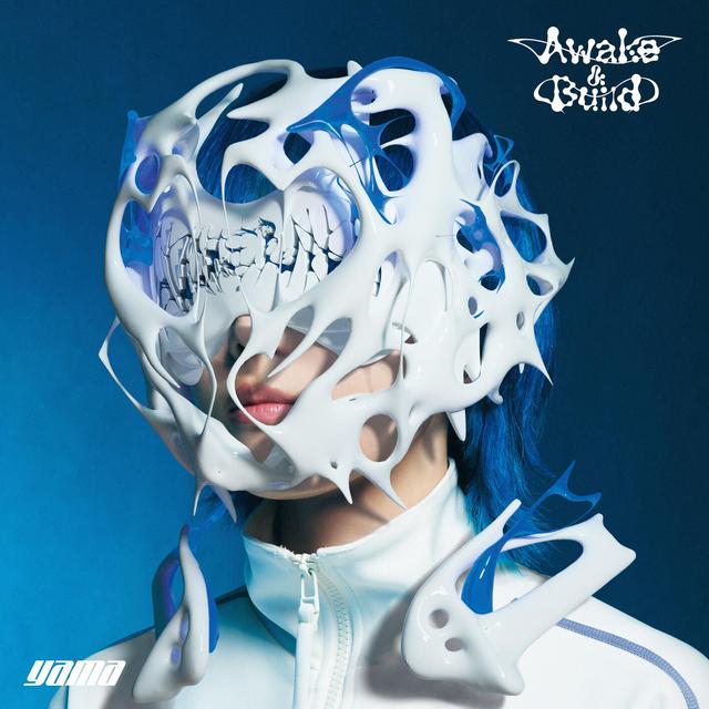 Album cover art for awake&build